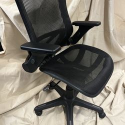Office Chair, Bayside