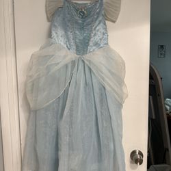 Disney Cinderella Dress