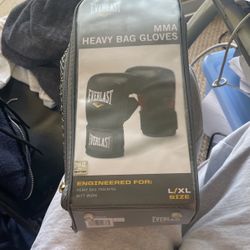 Heavy MMA Gloves