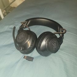 Jbl Headphones