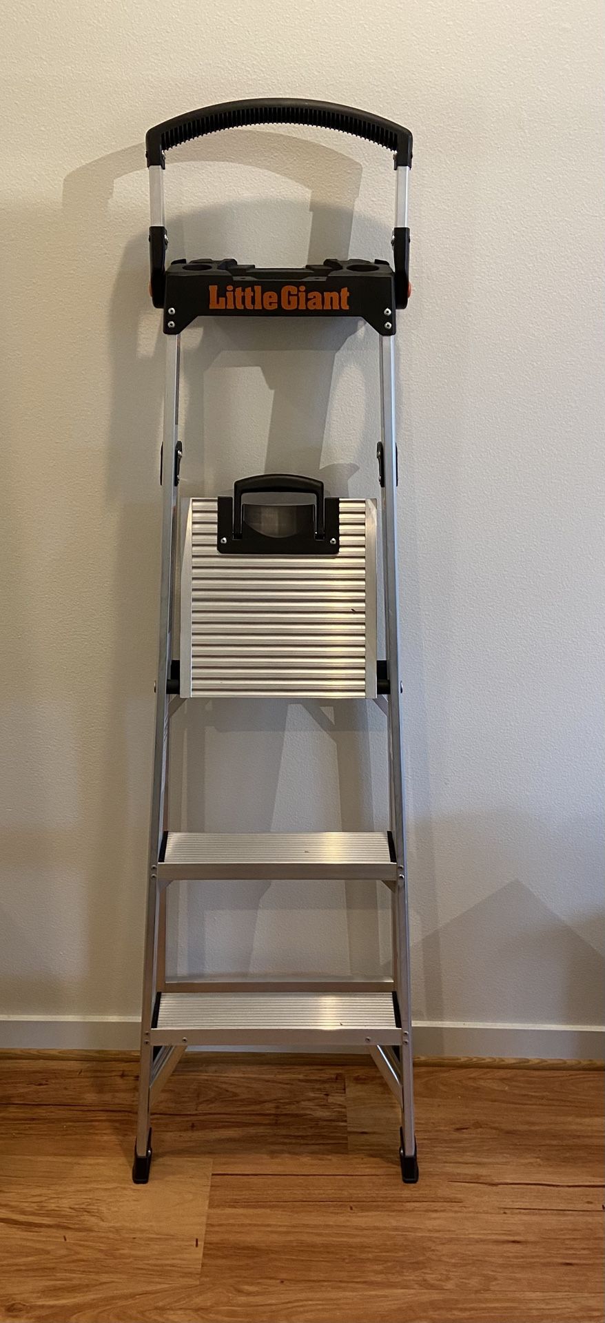 Little Giant Ladder