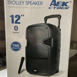 12” Aek CyBer Bluetooth Rechargeable Speaker With Microphone And LED Display Lights 🎤🔊🎶