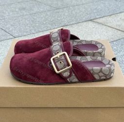 Coach clogs