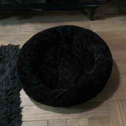 pet bed 