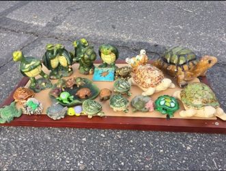Turtle Set