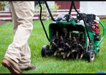 Lawn Aeration 