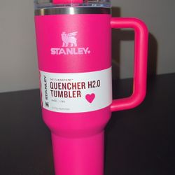 Target Exclusive Pink Valentine’s Stanley 40oz