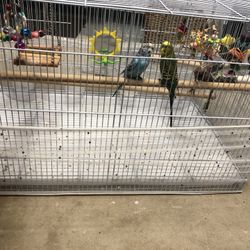 Bird Cage For Parakeets, Conures, Finches, Etc…