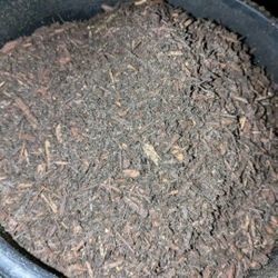 Tierra Organica / Organic Soil 