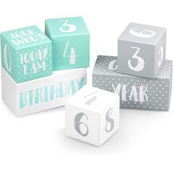 Baby Monthly Milestone Blocks