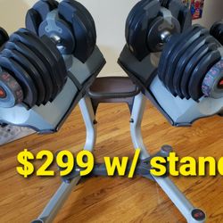 Bowflex Selectech 552 Adjustable Dumbells with Stand