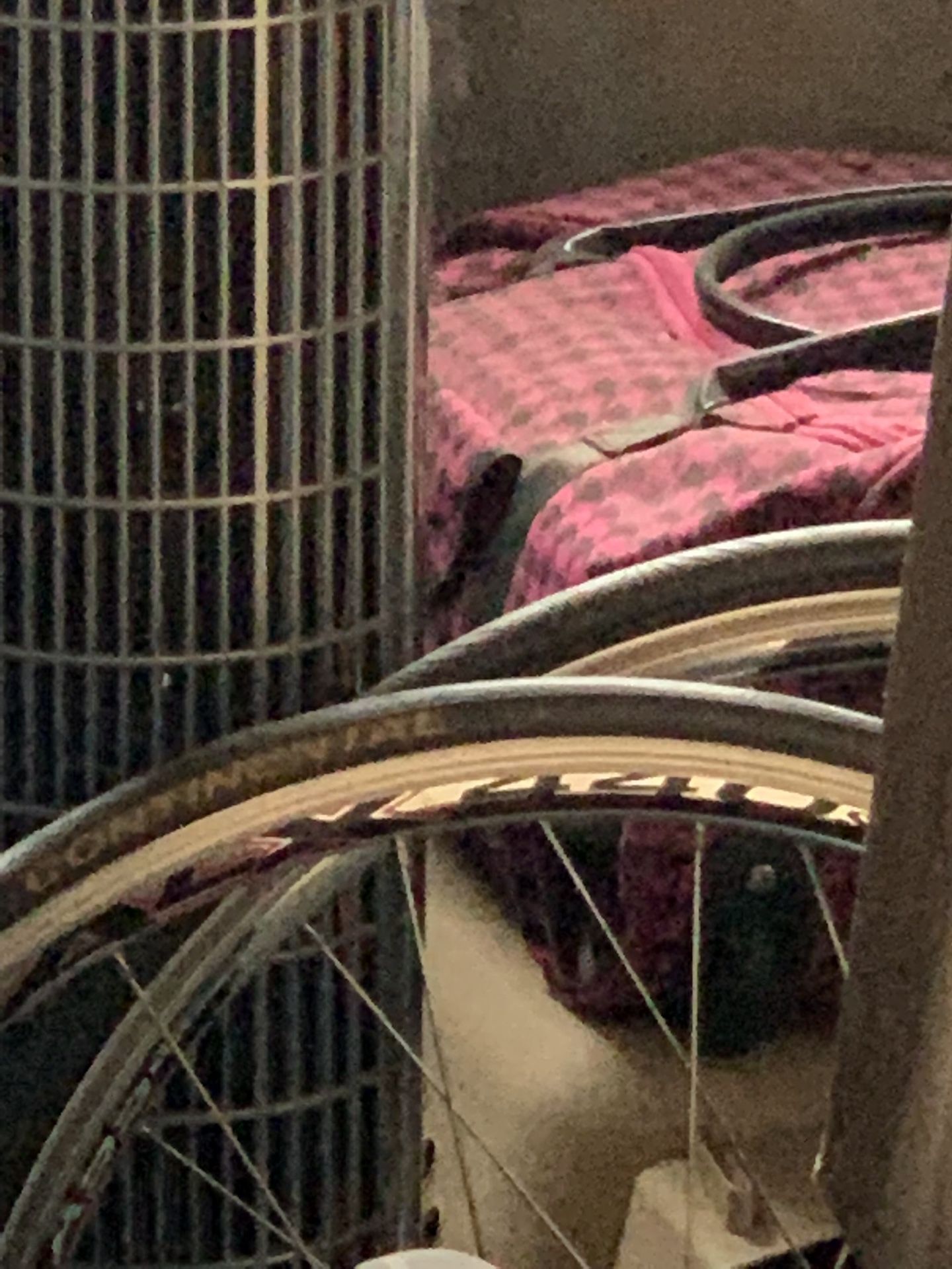 Old School Schwinn Blue Gold Inlay