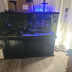 Saltwater Water Fish Tank 