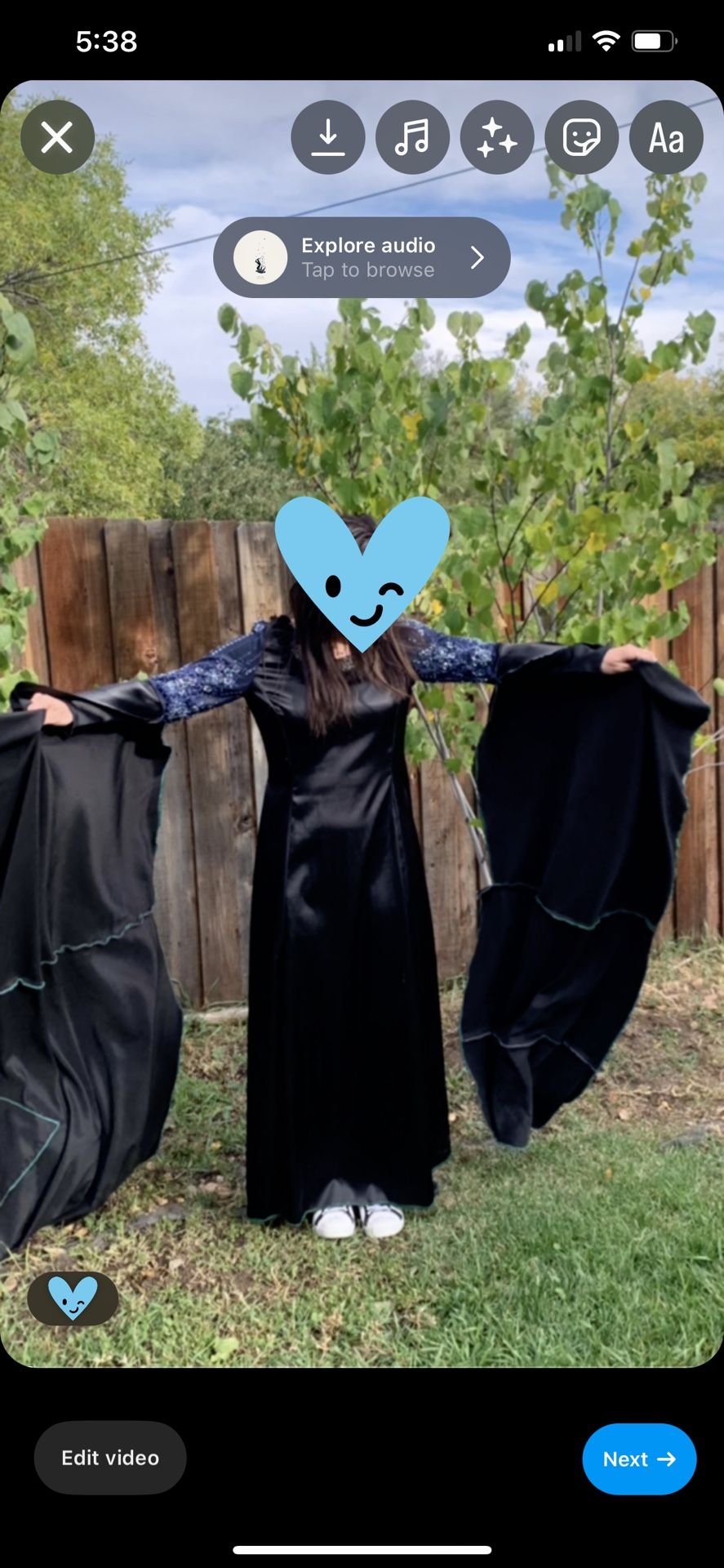 Maleficent Medieval Renaissance Fair Costume Dress Costume
