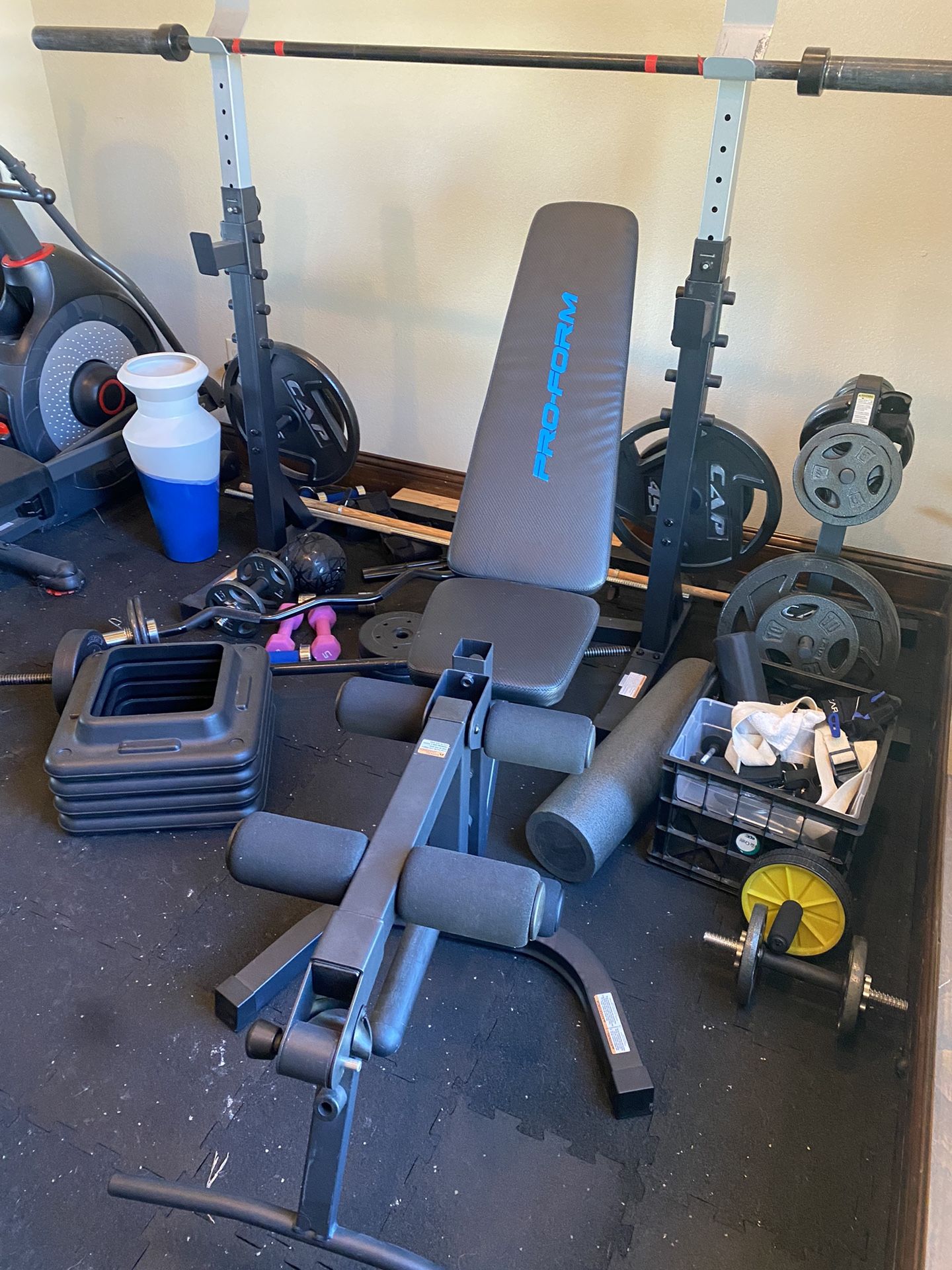 Pro Form Weight Bench And Free Weights 