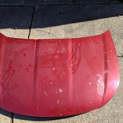 Ford Focus Hood 2008