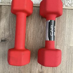 Two 10lbs weights