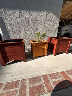 Planters cedar