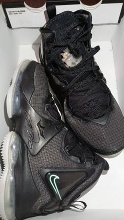Nike Lebron XIX