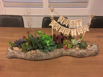 Large Succulents arrangement on concrete log