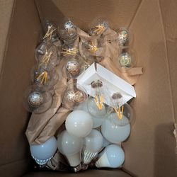 Box of 40+ LED Light Bulbs
