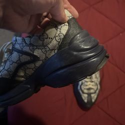 Gucci Shoes 