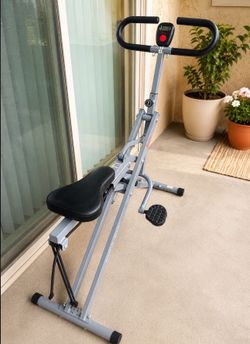 Sunny Health & Fitness Row-N-Ride Exercise Machine