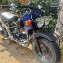 Honda Ruckus 