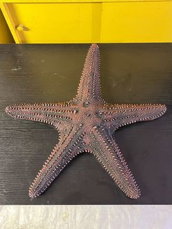 LARGE Concrete Starfish Statue - NEW / Extremely Heavy!!! - Nautical / Ocean Decor
