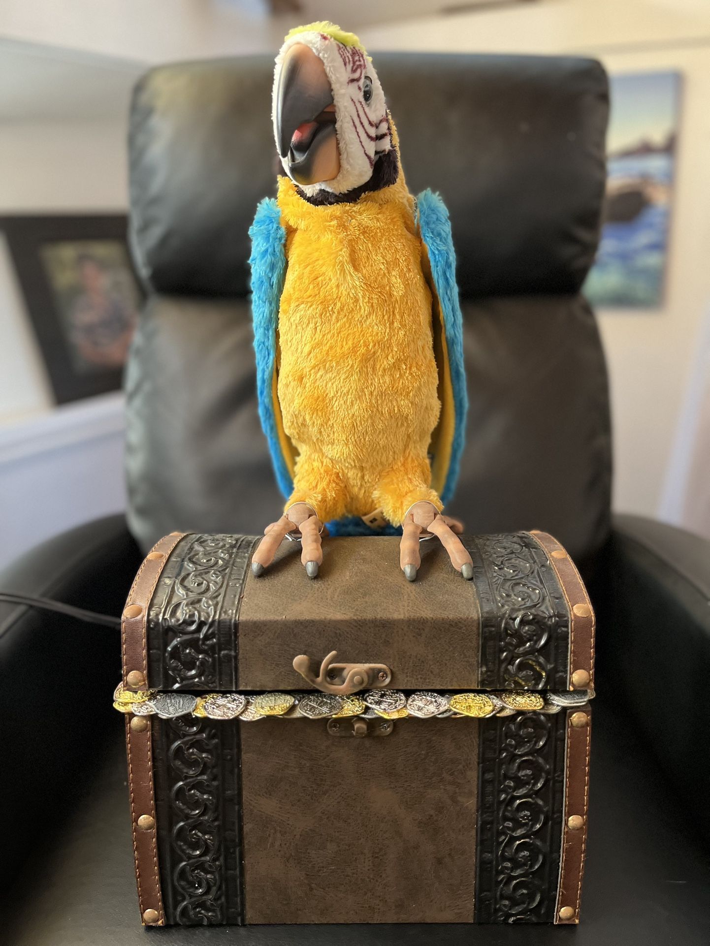 Squawker Parrot Animated! On A Pirate Chest