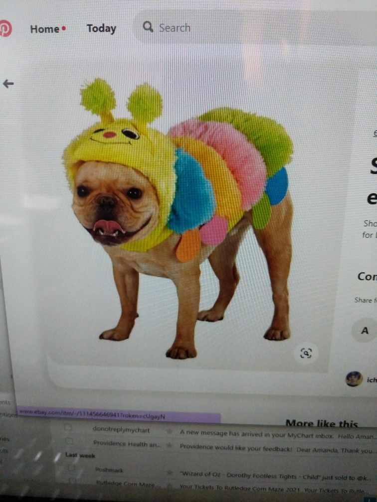 Top Paw Caterpillar Halloween Dog Costume - XS - New