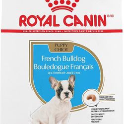 Dog Food 