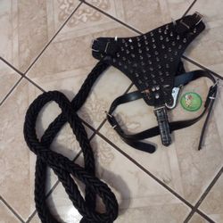 Dog Chest With Heavy Duty Leashed