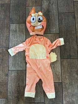 Bingo Costume