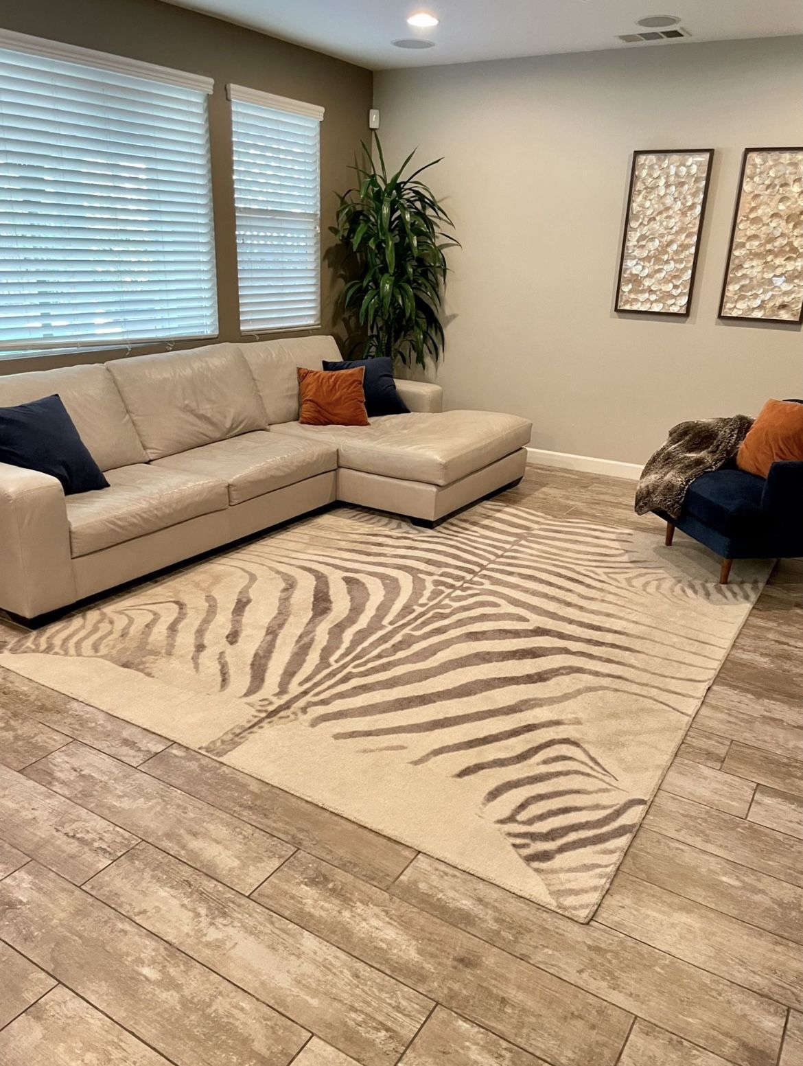 Pottery Barn Rug 8x10