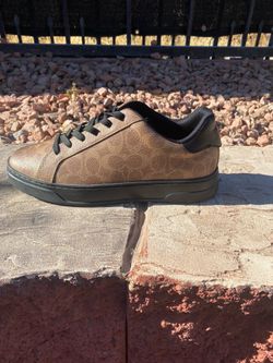 9.5 coach