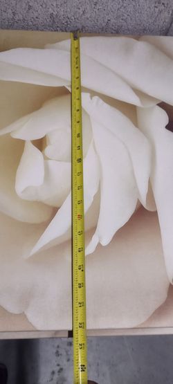 Decoracion