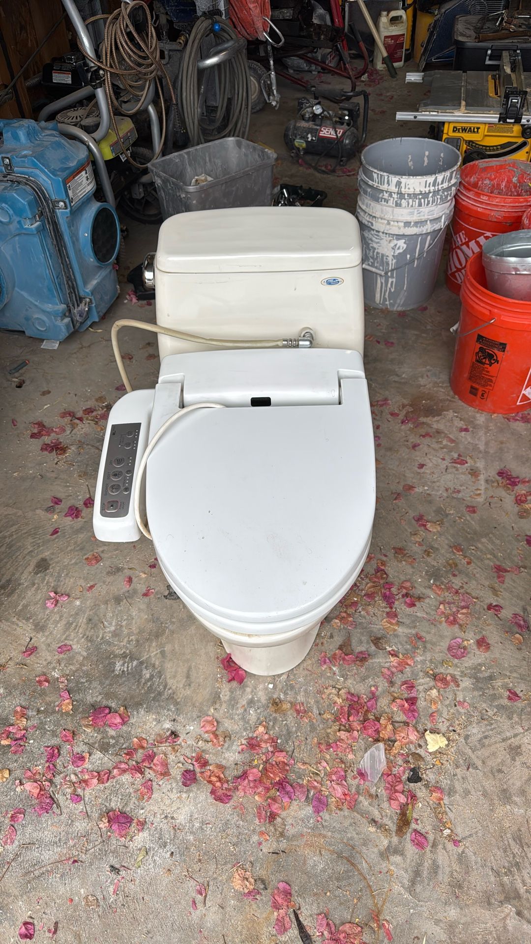 Toto Toilet with bidet