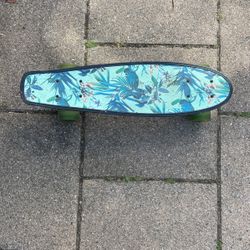 Used Skateboard 