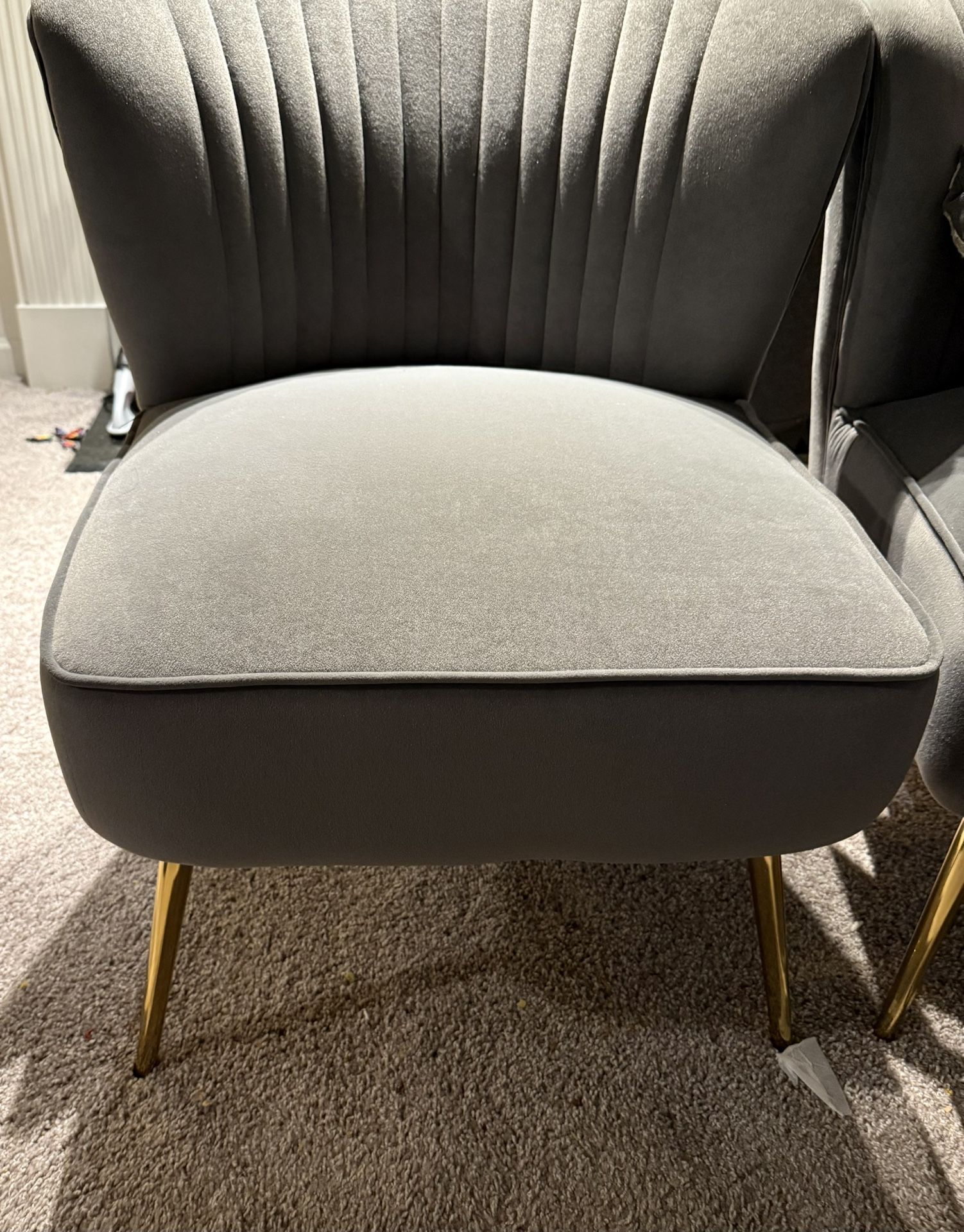 Velvet Accent chair With Metal Leg- Set Of 2