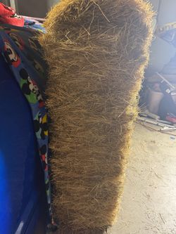 Hay bales for sale