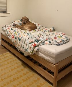Ikea Kids Twin Stackable Bed (2 beds in one!) + 2 twin mattresses