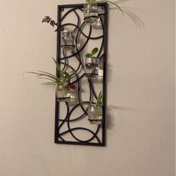 Wall Decor W/live Plants Assortment In Water