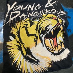 The Struts Mens XL Hoodie