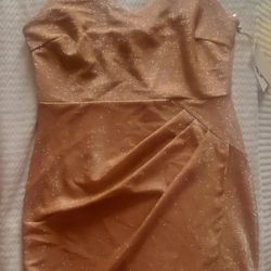 Large Dress