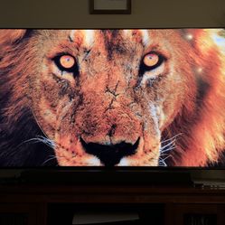Vizio 70 Inch 4K QLED TV