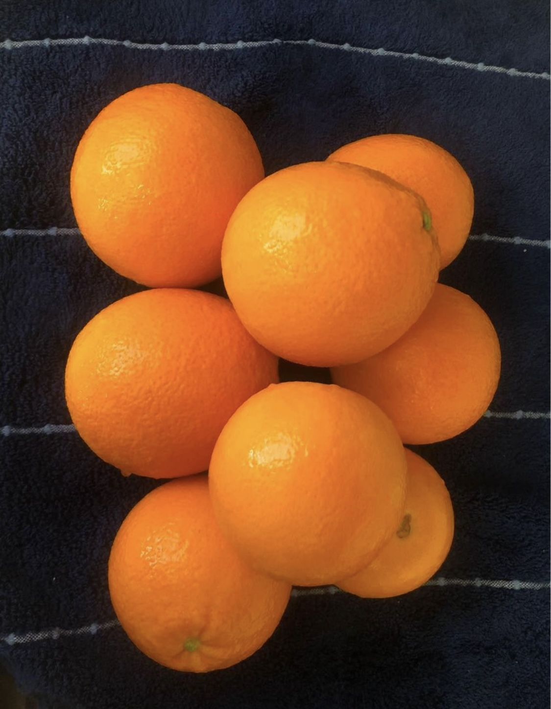 Organic Oranges🍊/ Naranjas Organicas