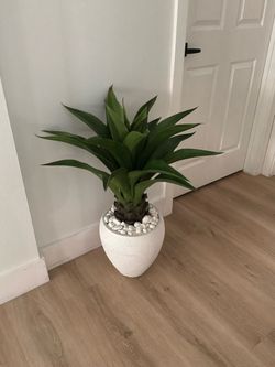Faux Plants