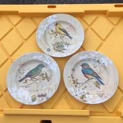 Bird Plates 