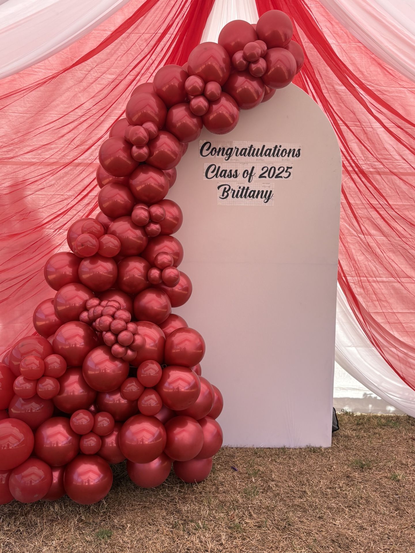 Balloon Arch